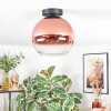 Koyoto ceiling light, globe light clear, coppery, 1-light source