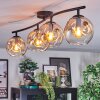 Ripoll ceiling light, globe light Amber, clear, 4-light sources