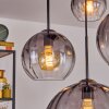 Koyoto hanging light, globe light, pendant light 30 cm clear, Smoke-coloured, 4-light sources