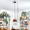 Koyoto hanging light, globe light, pendant light clear, coppery, 1-light source