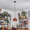 Koyoto hanging light, globe light, pendant light clear, coppery, 1-light source