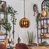 Koyoto hanging light, globe light, pendant light gold, 1-light source