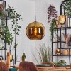 Koyoto hanging light, globe light, pendant light gold, 1-light source