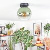 Koyoto ceiling light, globe light green, clear, 1-light source