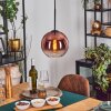 Koyoto hanging light, globe light, pendant light clear, coppery, 1-light source