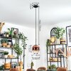 Koyoto hanging light, globe light, pendant light clear, coppery, 1-light source