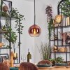 Koyoto hanging light, globe light, pendant light clear, coppery, 1-light source