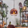 Koyoto hanging light, globe light, pendant light clear, coppery, 1-light source