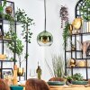 Koyoto hanging light, globe light, pendant light green, clear, 1-light source
