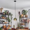 Koyoto hanging light, globe light, pendant light green, clear, 1-light source