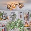 Chehalis ceiling light, globe light Amber, clear, Smoke-coloured, 5-light sources