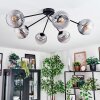 Koyoto ceiling light, globe light 77.5 cm clear, Smoke-coloured, 6-light sources