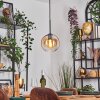 Koyoto hanging light, globe light, pendant light Amber, clear, 1-light source