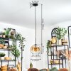 Koyoto hanging light, globe light, pendant light 25 cm Amber, clear, 1-light source
