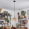 Koyoto hanging light, globe light, pendant light 25 cm Amber, clear, 1-light source