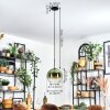 Koyoto hanging light, globe light, pendant light 25 cm green, clear, 1-light source