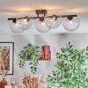 Chehalis ceiling light, globe light clear, 5-light sources