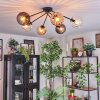Koyoto ceiling light, globe light 77.5 cm Amber, clear, Smoke-coloured, 6-light sources