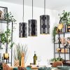 Rolin hanging light, pendant light black, 3-light sources