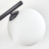 Chehalis ceiling light, globe light white, 5-light sources