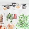 Chehalis ceiling light, globe light Amber, clear, Smoke-coloured, 5-light sources