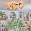 Chehalis ceiling light, globe light Amber, 5-light sources