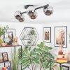 Chehalis ceiling light, globe light chrome, Smoke-coloured, 5-light sources
