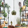 Koyoto hanging light, globe light, pendant light green, 1-light source