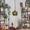 Koyoto hanging light, globe light, pendant light green, 1-light source