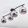 Ripoll ceiling light, globe light Smoke-coloured, 4-light sources