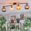 Ripoll ceiling light, globe light Amber, clear, Smoke-coloured, 4-light sources