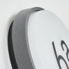 Duril outdoor wall light, House-Number Light, wall light LED anthracite, 1-light source