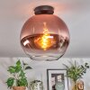Koyoto ceiling light, globe light 30 cm clear, coppery, 1-light source