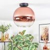 Koyoto ceiling light, globe light 30 cm clear, coppery, 1-light source