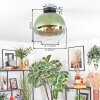 Koyoto ceiling light, globe light 12 cm green, clear, 1-light source