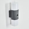 Felor outdoor wall light, Up & Down Light, wall light LED anthracite, 2-light sources, Motion sensor