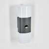 Felor outdoor wall light, Up & Down Light, wall light LED anthracite, 2-light sources, Motion sensor