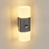 Felor outdoor wall light, Up & Down Light, wall light LED anthracite, 2-light sources, Motion sensor