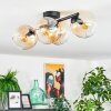 Koyoto ceiling light, globe light Amber, clear, 4-light sources