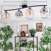Ripoll ceiling light, globe light Amber, clear, Smoke-coloured, 4-light sources