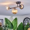 Chehalis ceiling light, globe light Amber, clear, Smoke-coloured, 3-light sources