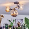 Chehalis ceiling light, globe light Amber, clear, Smoke-coloured, 3-light sources