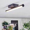 Fenol ceiling light LED black, 1-light source