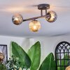 Chehalis ceiling light, globe light Amber, Smoke-coloured, 3-light sources