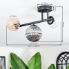 Chehalis ceiling light, globe light Amber, clear, Smoke-coloured, 3-light sources