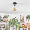 Ripoll ceiling light, globe light clear, 1-light source