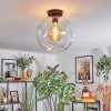 Ripoll ceiling light, globe light clear, 1-light source