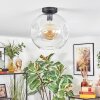 Ripoll ceiling light, globe light clear, 1-light source