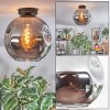Ripoll ceiling light, globe light Smoke-coloured, 1-light source