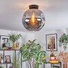 Ripoll ceiling light, globe light Smoke-coloured, 1-light source
